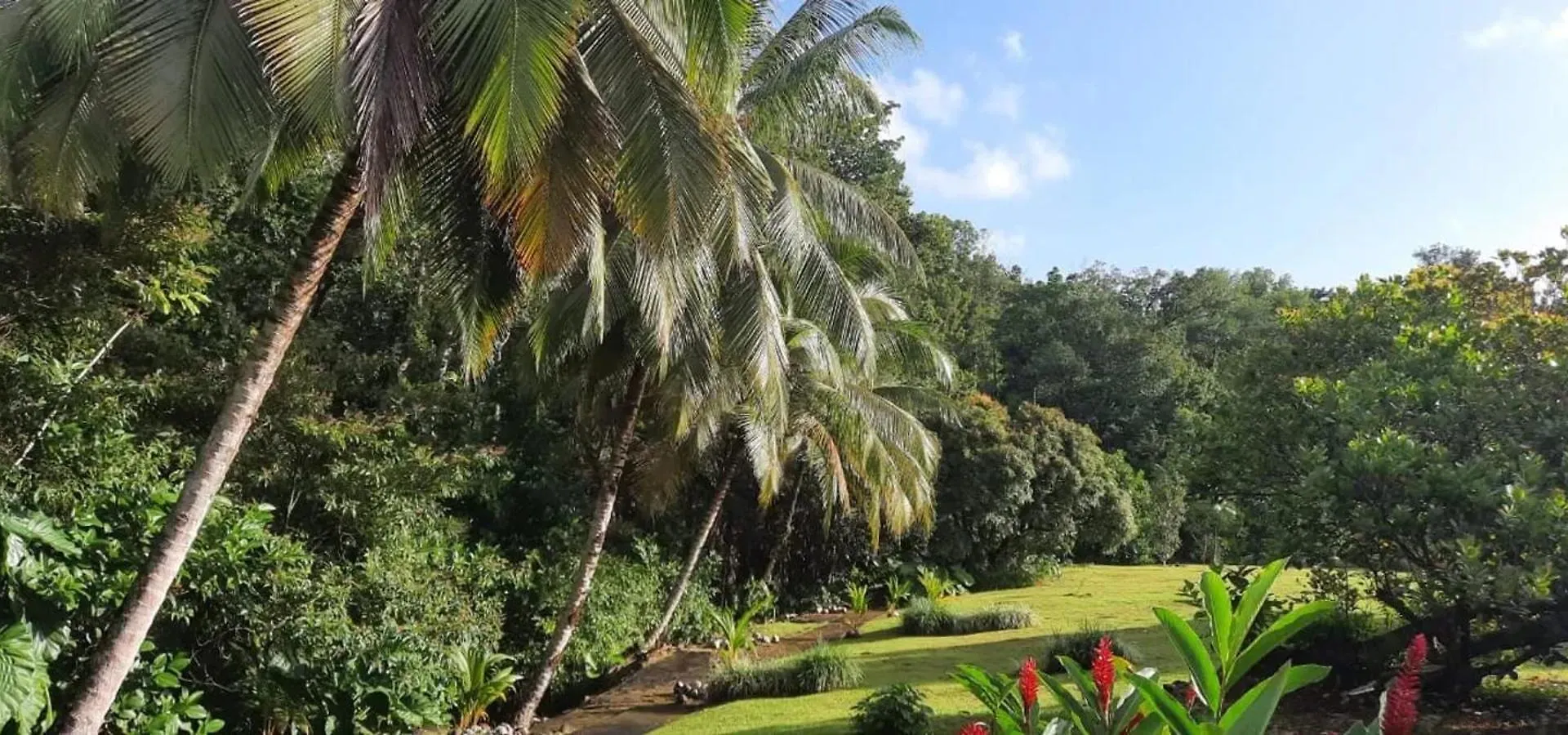 Appartement Moderne A Goyave Avec Jardin Et Terrasse 0*,  Guadeloupe
