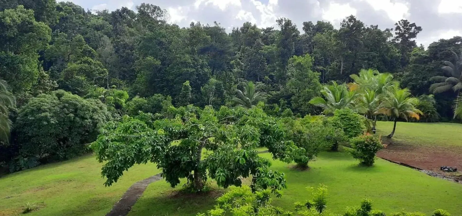 Apartment Appartement Moderne A Goyave Avec Jardin Et Terrasse Guadeloupe
